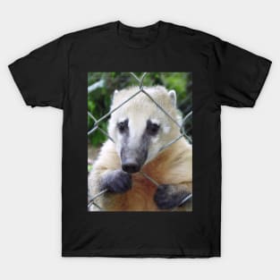 Coati T-Shirt